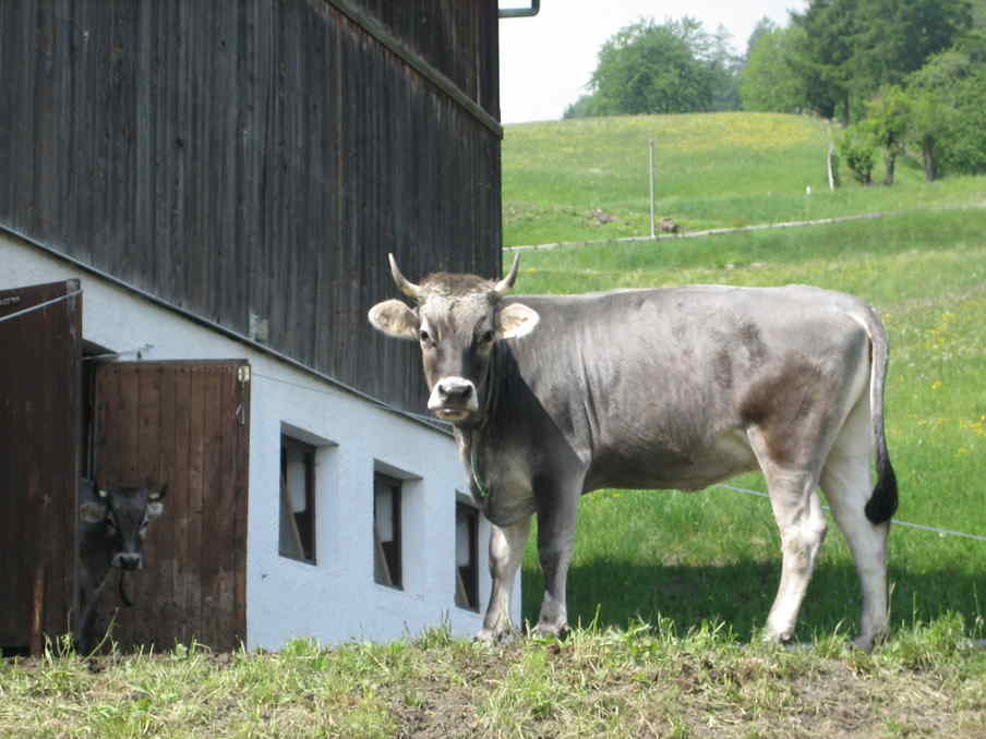 Unser Bauernhof