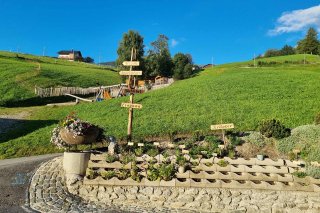 08_bauernhof_sattlerhof_mutters.jpg