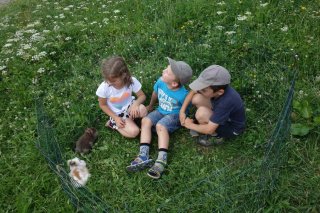 sattlerhof_meerschweinchen4.jpg