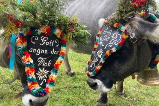 09_bauernhof_sattlerhof_mutters.jpg