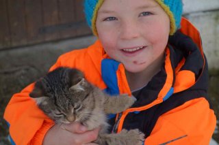 sattlerhof_katzen2.jpg
